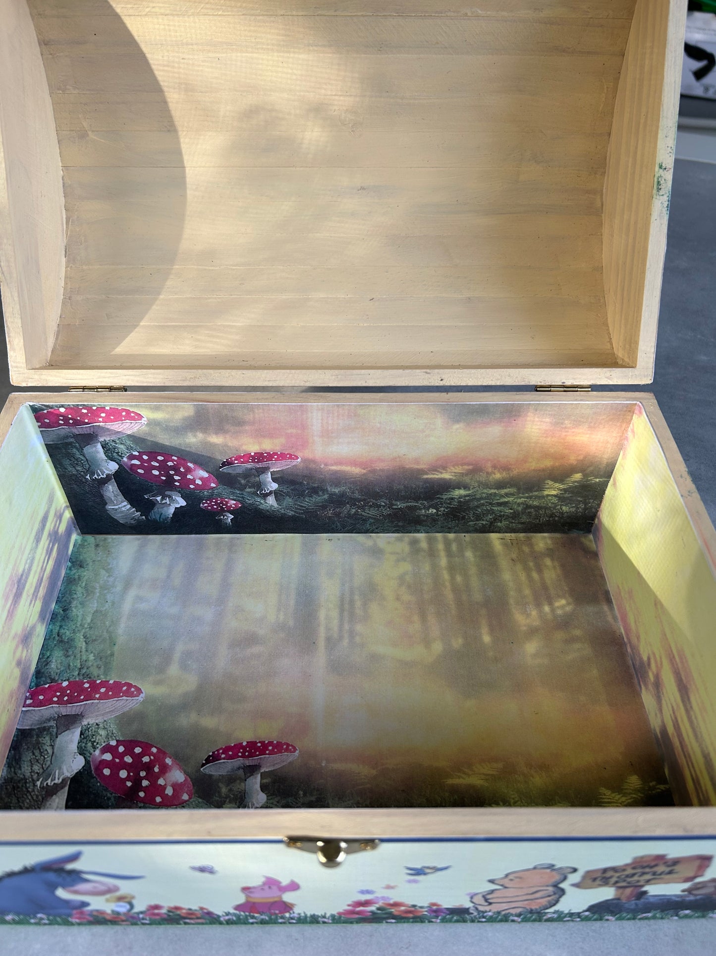 Treasure Chest ... Winnie the Pooh & Friends (Extra Large Chest)