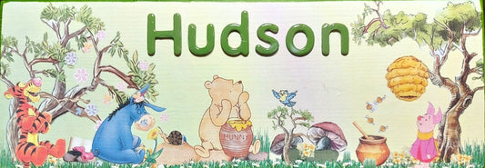 For the boys ... Hudson11
